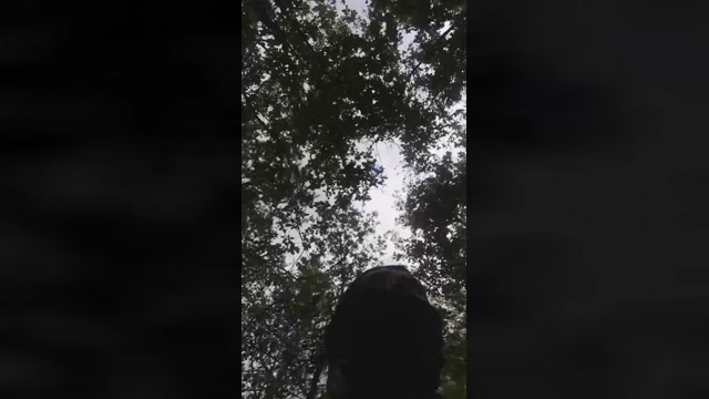 Geilesfickloch  21-07-2022